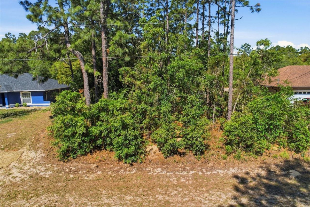 7672 N Cricket Drive, Citrus Springs, FL 34434 Photo