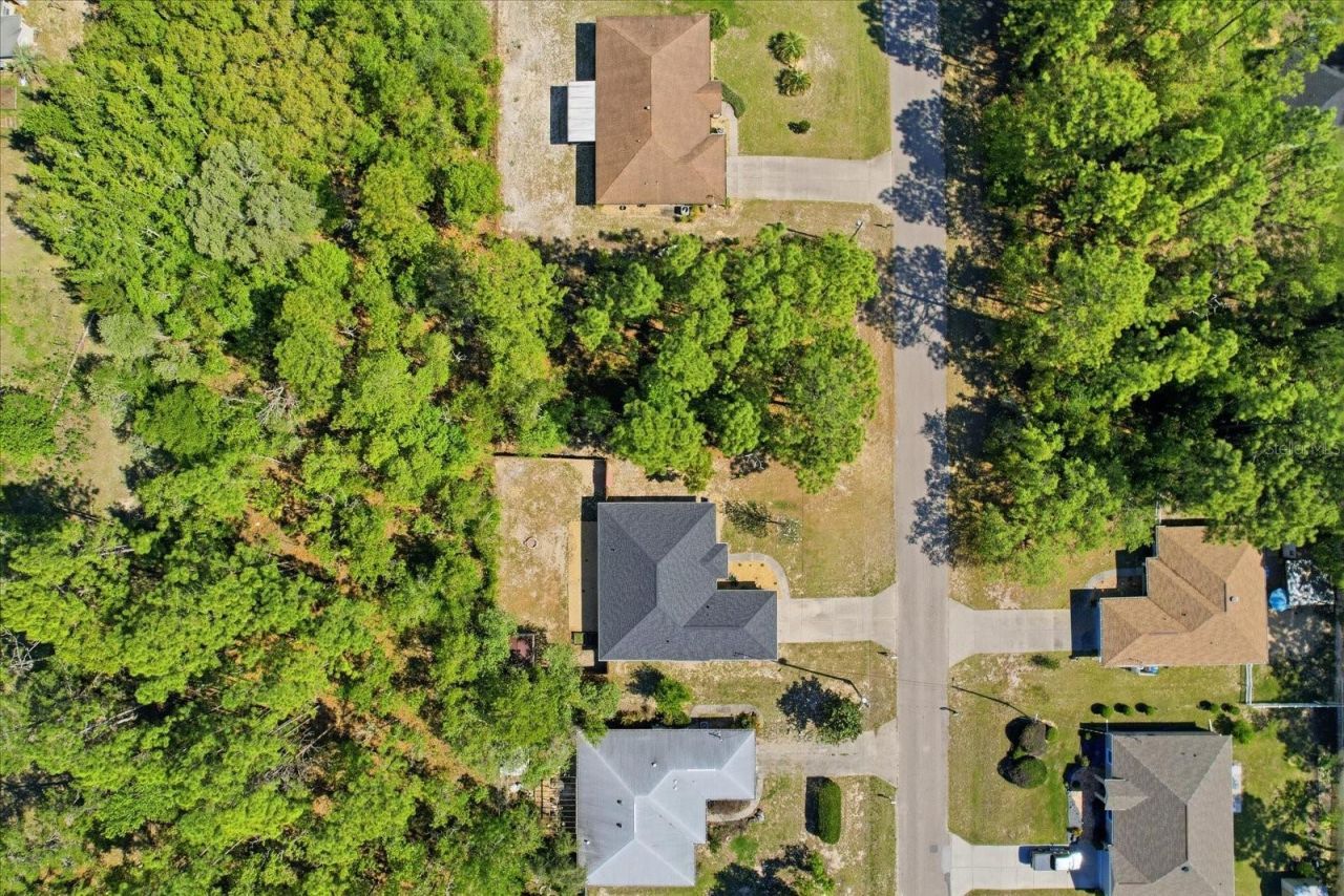 7672 N Cricket Drive, Citrus Springs, FL 34434 Photo