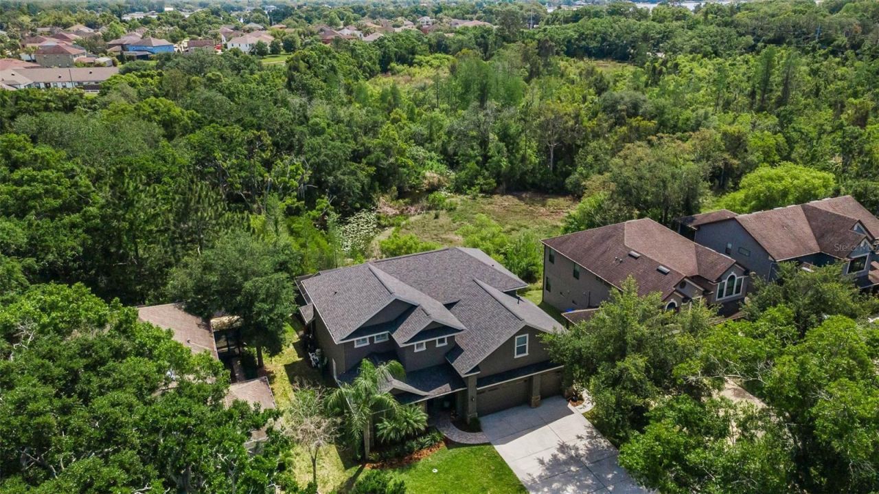 14915 Smitter Reserve Drive, Tampa, FL 33618 Photo