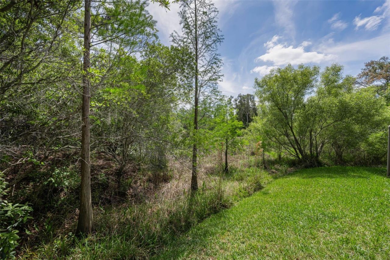 14915 Smitter Reserve Drive, Tampa, FL 33618 Photo