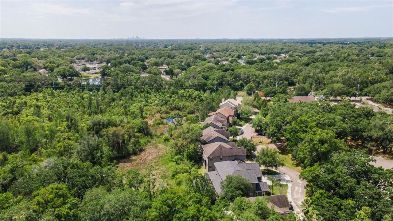 14915 Smitter Reserve Drive, Tampa, FL 33618 Photo