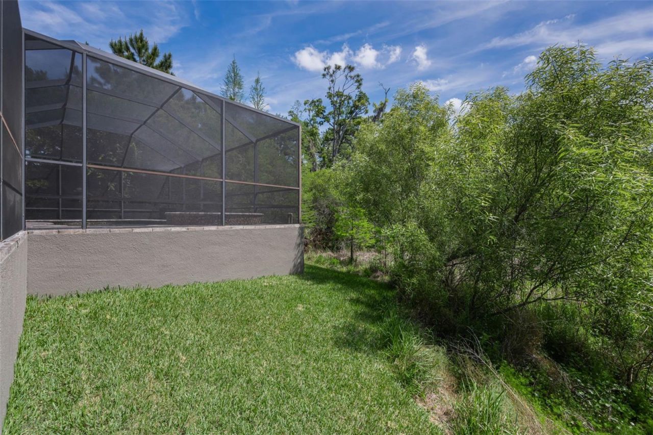 14915 Smitter Reserve Drive, Tampa, FL 33618 Photo