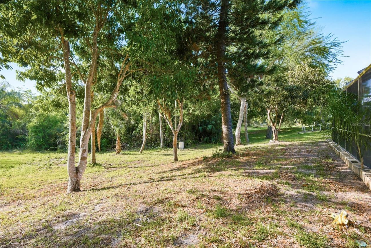 791 Weathersfield Drive, Dunedin, FL 34698 Photo