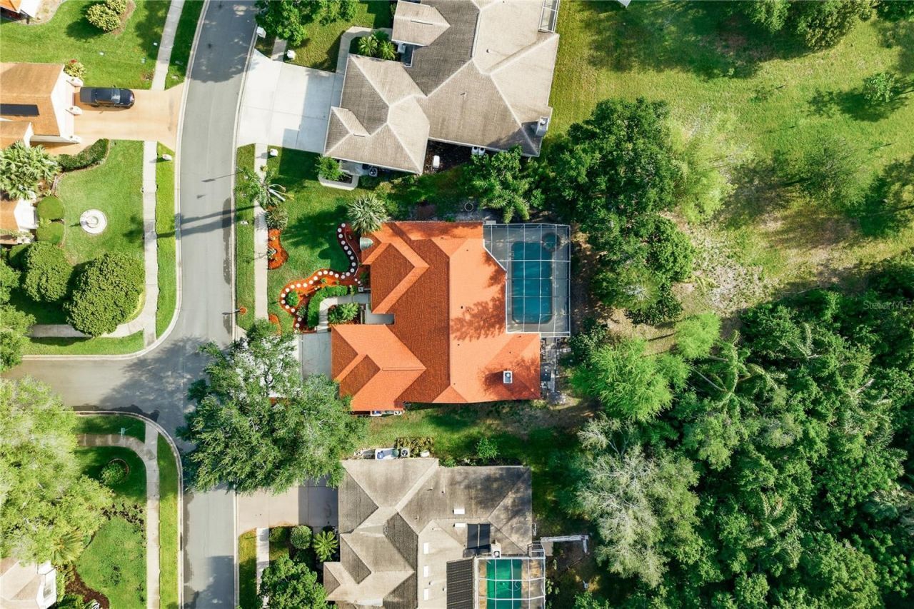 791 Weathersfield Drive, Dunedin, FL 34698 Photo