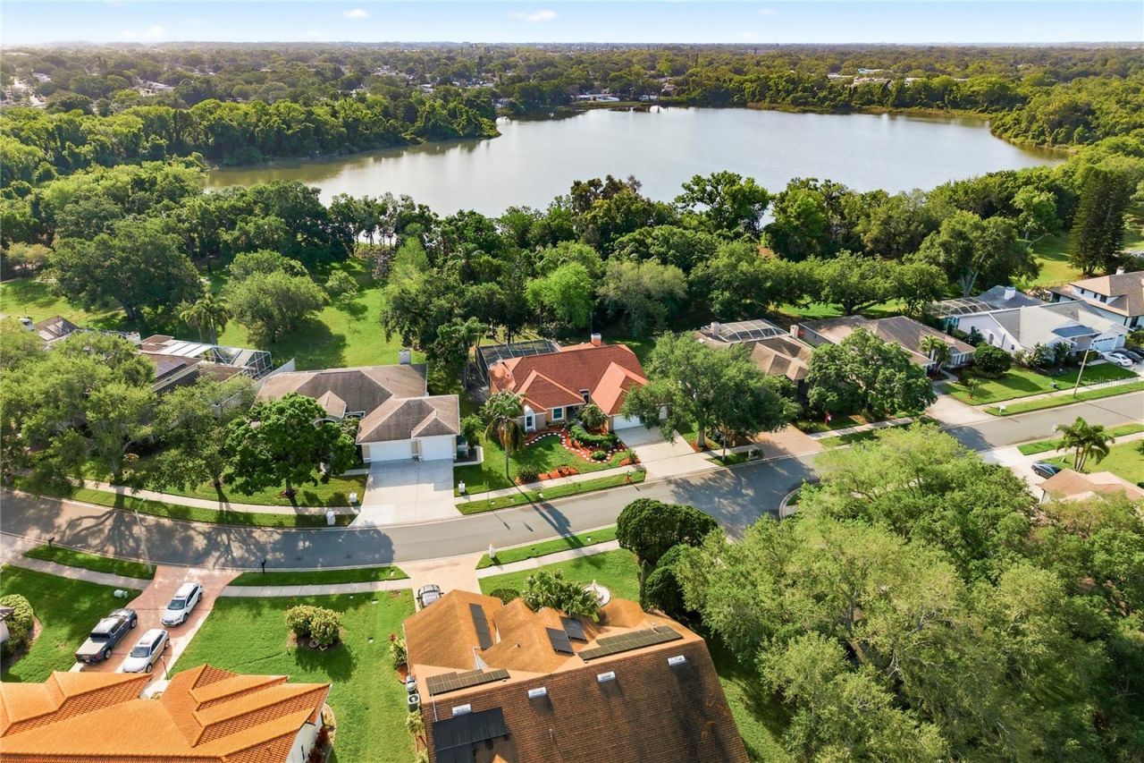 791 Weathersfield Drive, Dunedin, FL 34698 Photo