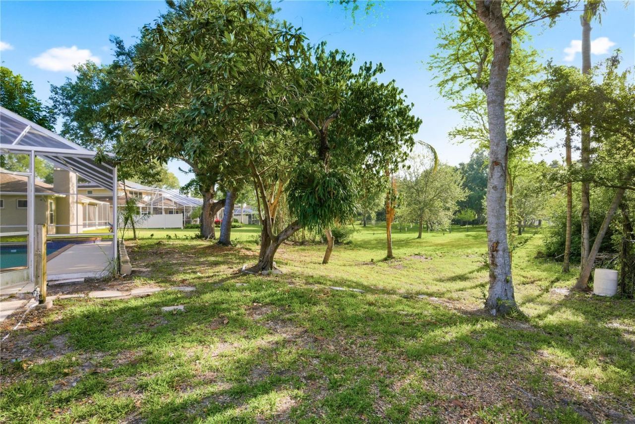 791 Weathersfield Drive, Dunedin, FL 34698 Photo