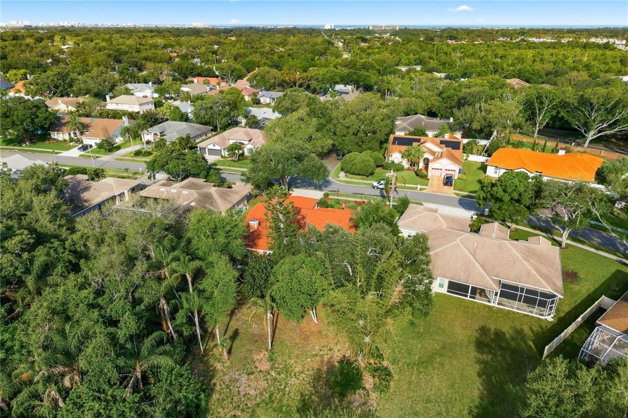 791 Weathersfield Drive, Dunedin, FL 34698 Photo