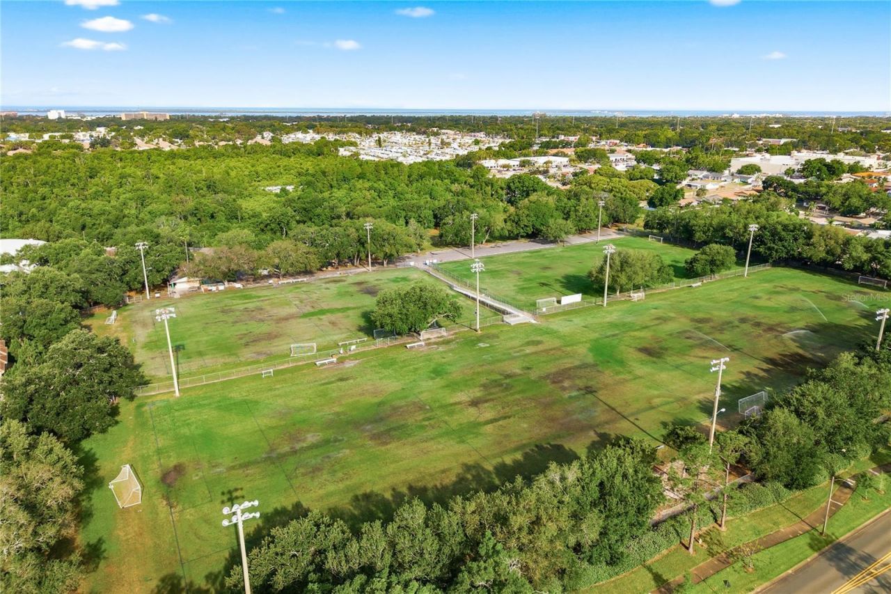 791 Weathersfield Drive, Dunedin, FL 34698 Photo