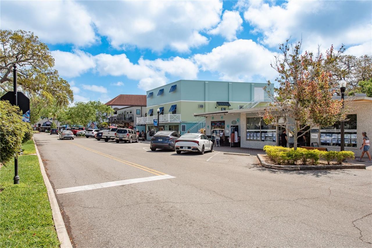 791 Weathersfield Drive, Dunedin, FL 34698 Photo