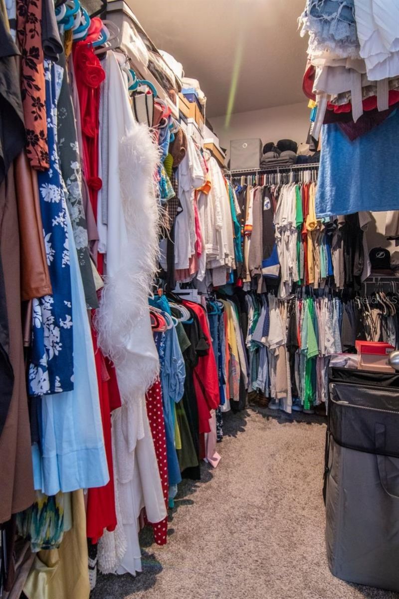 10455 Heron Hideaway Loop, Land O Lakes, FL 34638 Photo