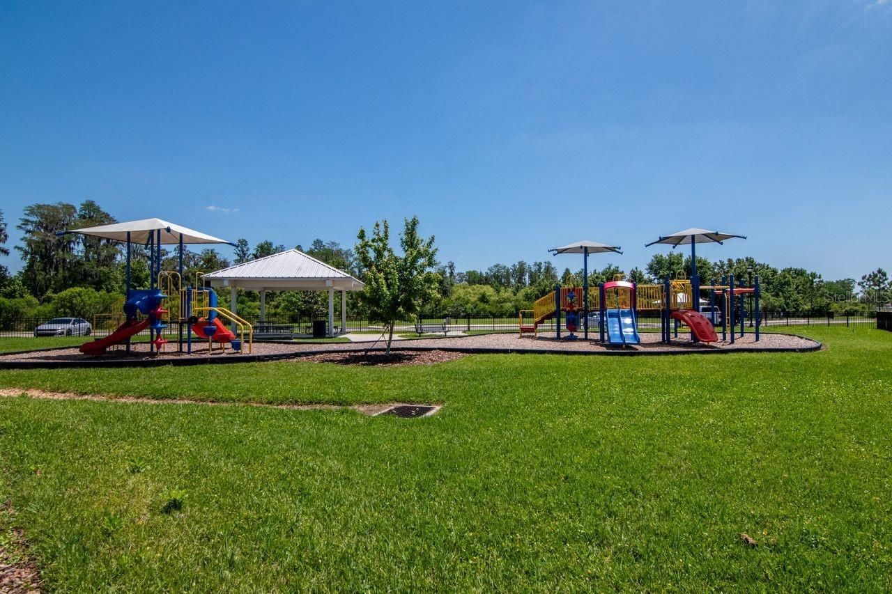 10455 Heron Hideaway Loop, Land O Lakes, FL 34638 Photo