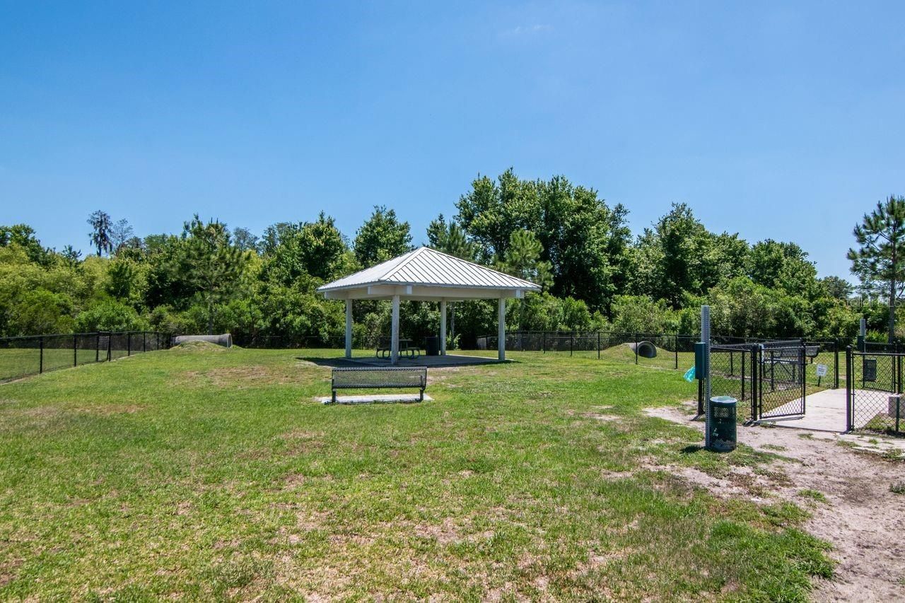 10455 Heron Hideaway Loop, Land O Lakes, FL 34638 Photo