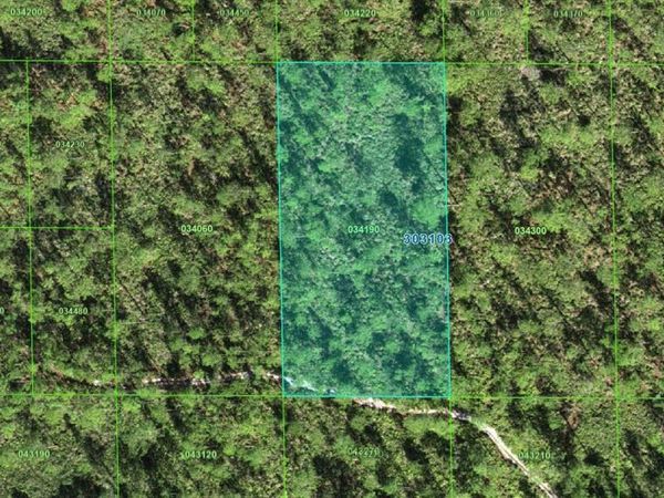 30-31-03-000000-034190 INAACCESIBLE TRACK, LAKE WALES, FL 33898
