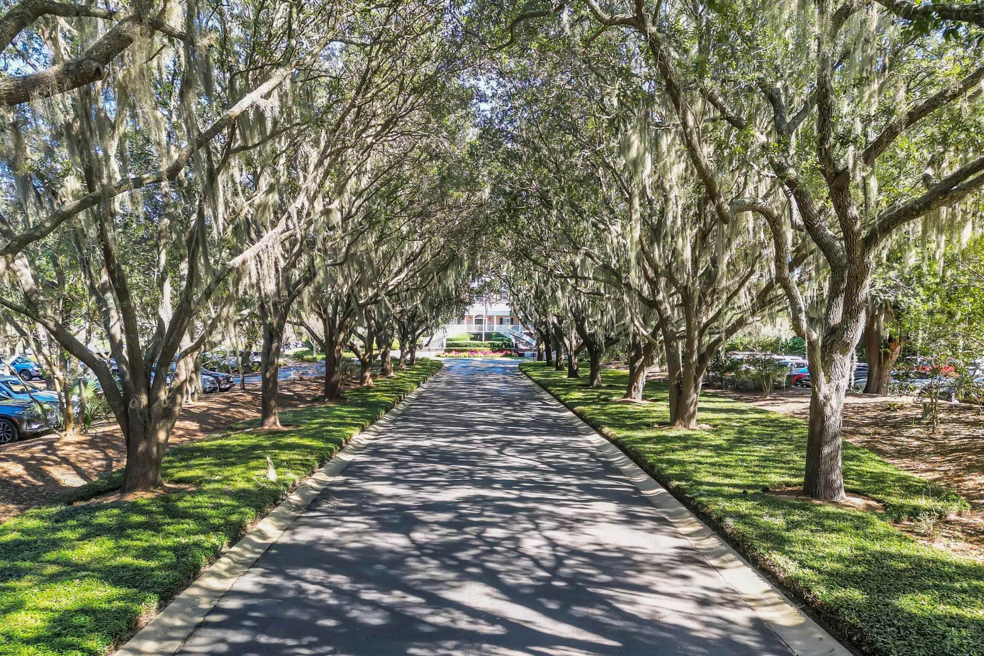 126 Summer Haven Ct. Photo 80