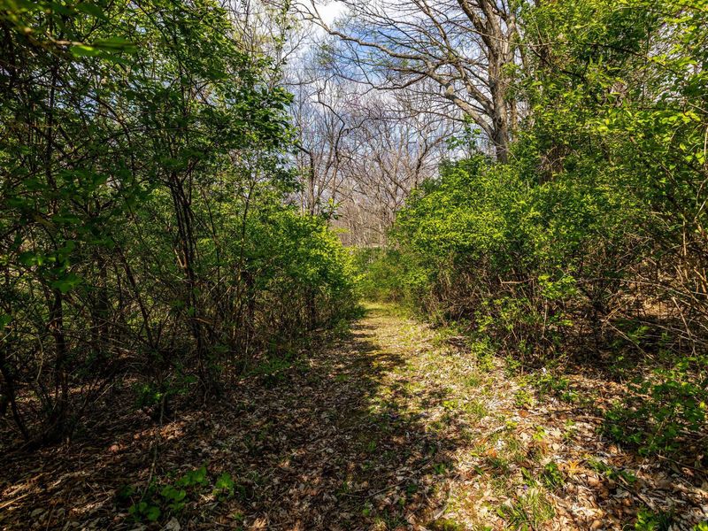 5490 S Dayton Brandt Road, New Carlisle, OH 45344 Photo 49