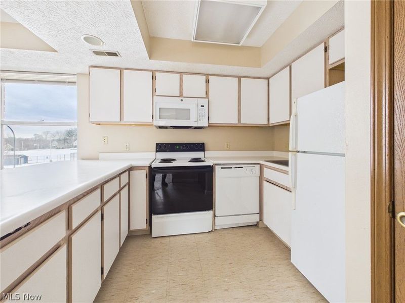 409 Brown Street, Akron, OH 44311 Photo 21