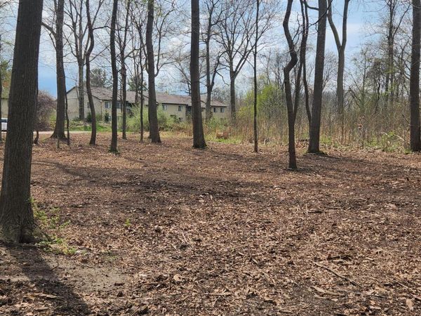 17708 Thunder Road, Unit Lot 10, New Buffalo, MI 49117