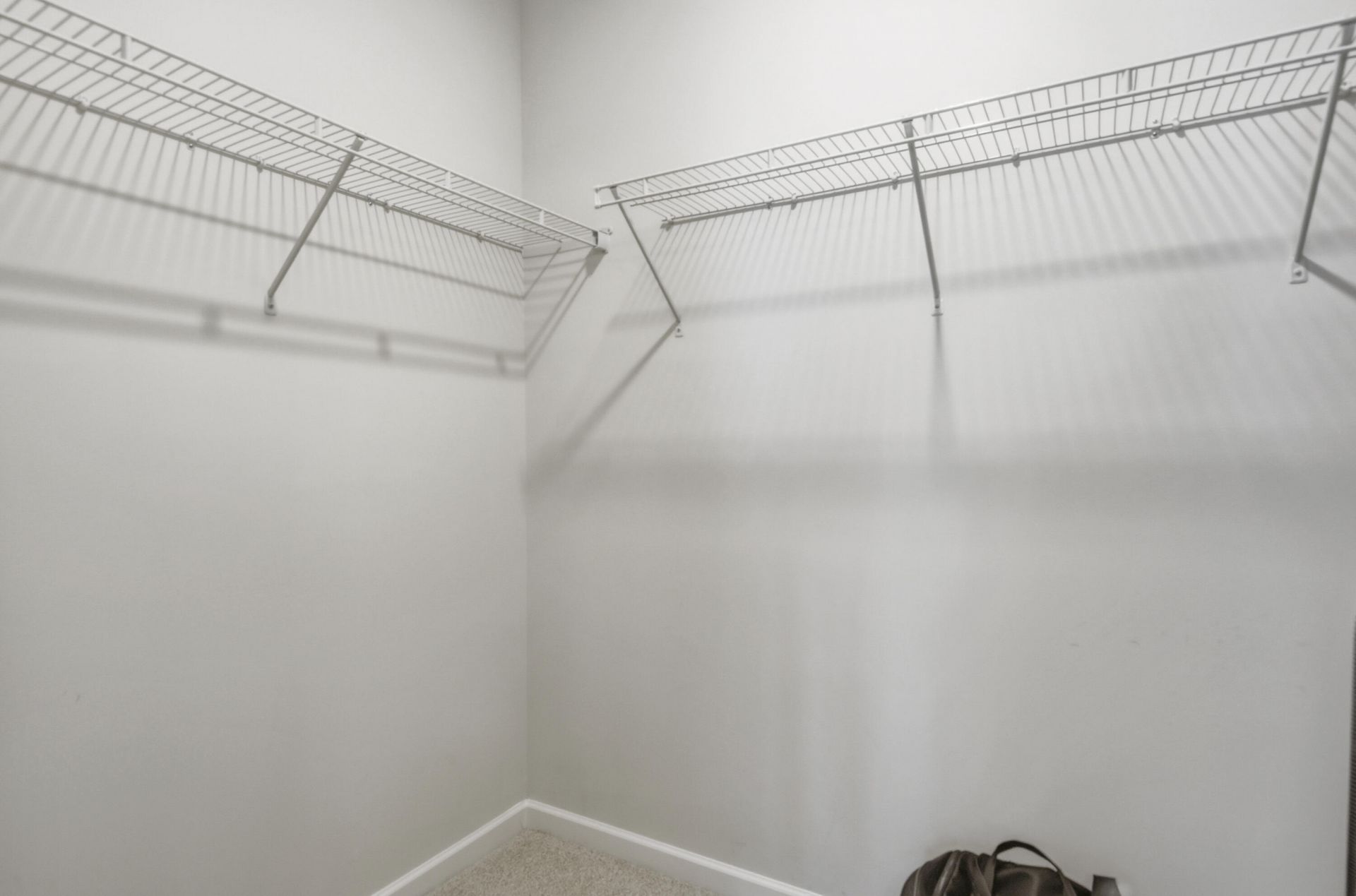 506 Green Fern Drive Photo 30