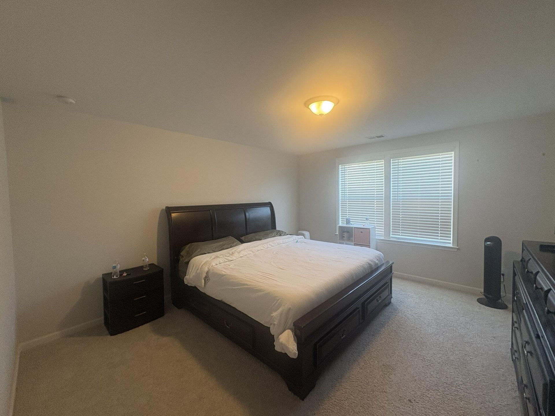 506 Green Fern Drive Photo 6