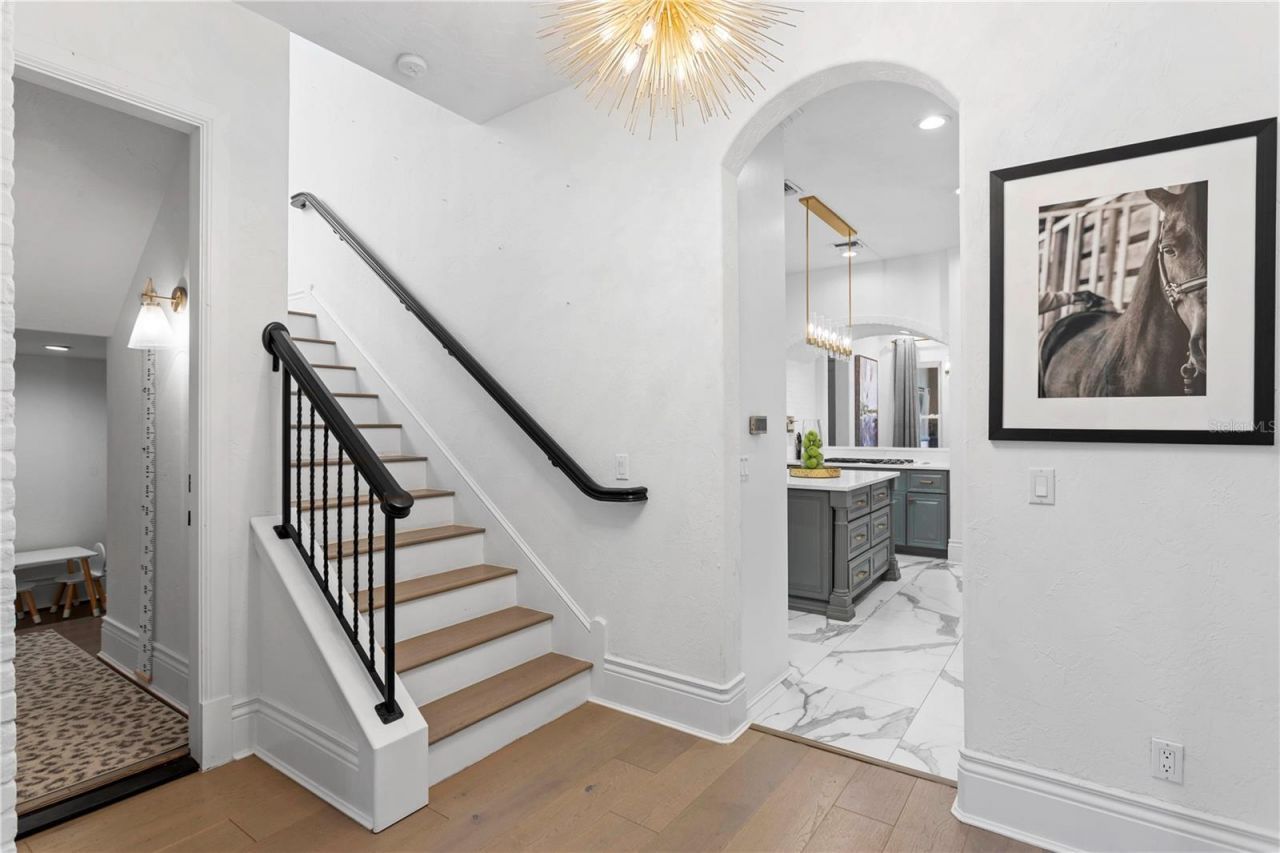 11410 Trotting Down Drive, Odessa, FL 33556 Photo