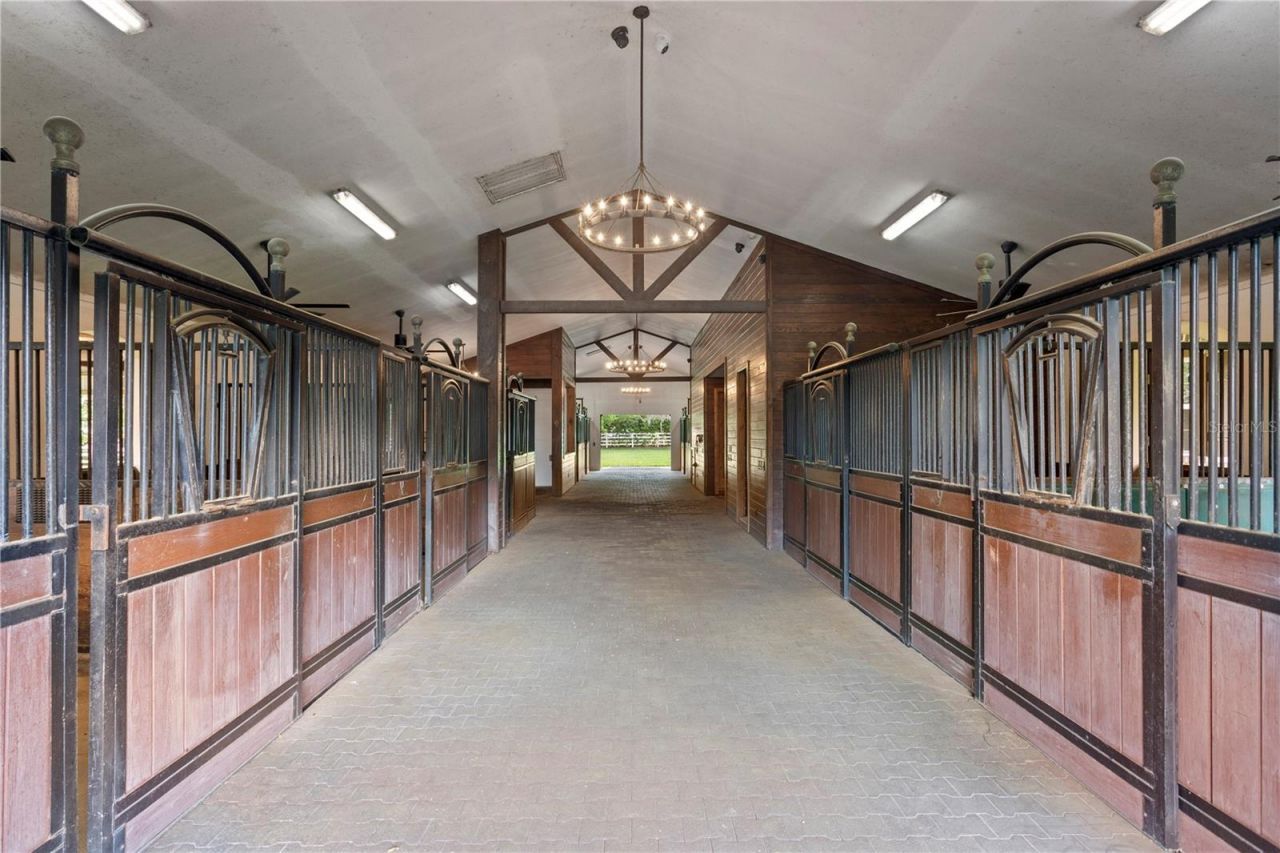 11410 Trotting Down Drive, Odessa, FL 33556 Photo