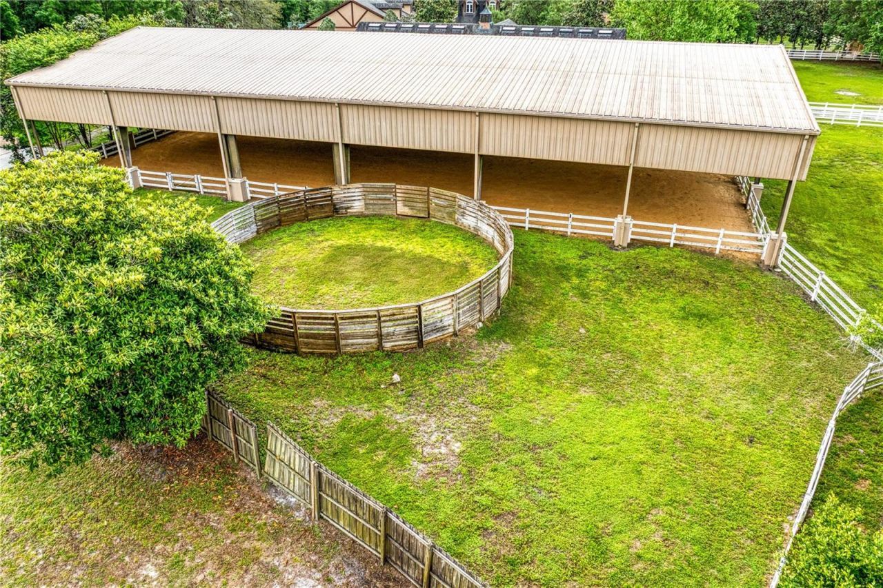 11410 Trotting Down Drive, Odessa, FL 33556 Photo