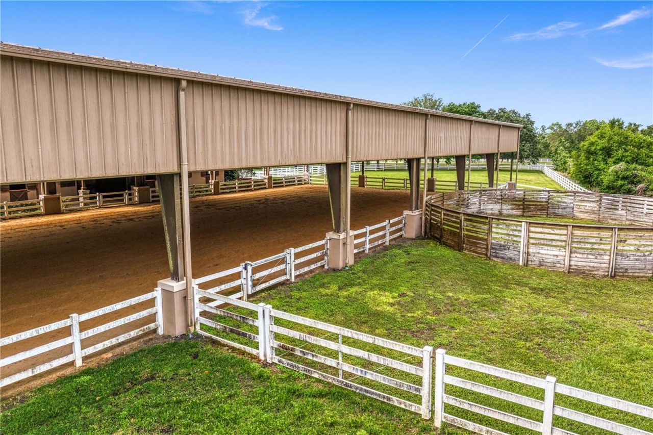 11410 Trotting Down Drive, Odessa, FL 33556 Photo