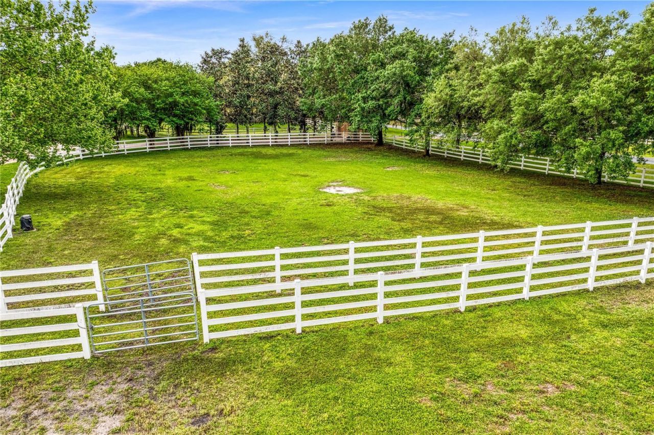 11410 Trotting Down Drive, Odessa, FL 33556 Photo