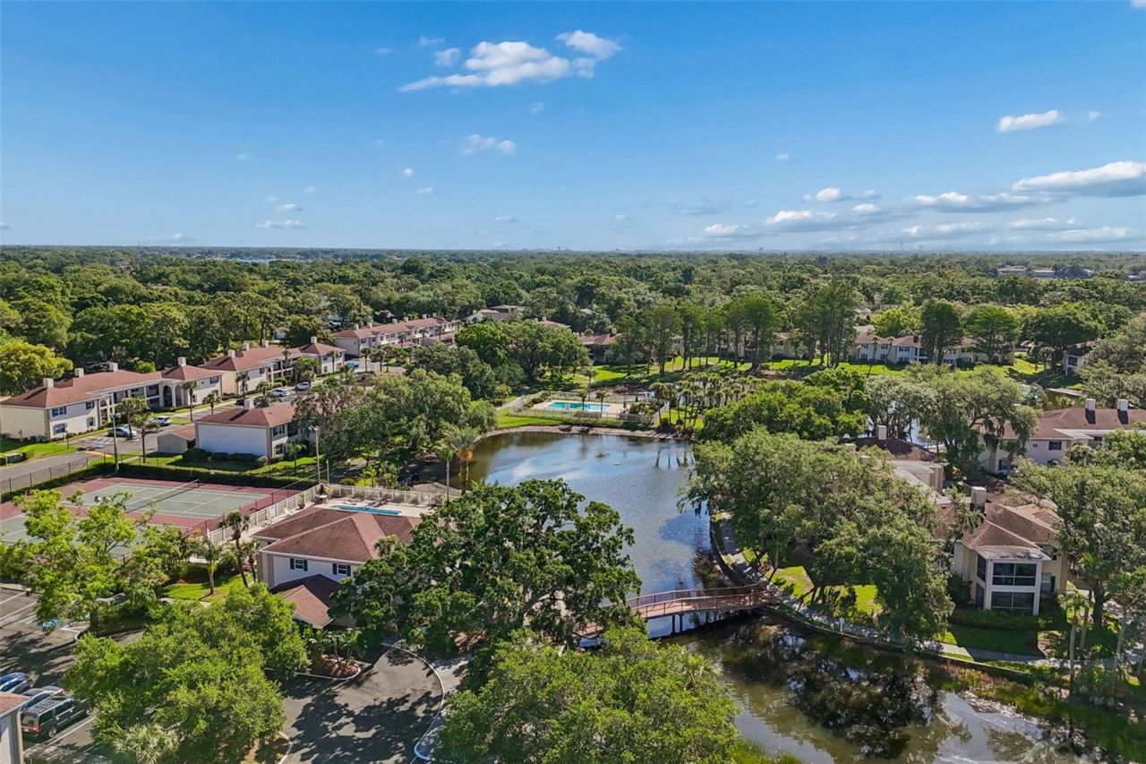 10314 Carrollwood Court, Unit 56, Tampa, FL 33618 Photo