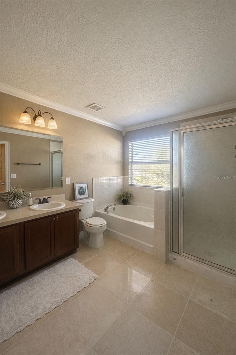 18907 Randall Place, Land O Lakes, FL 34638 Photo