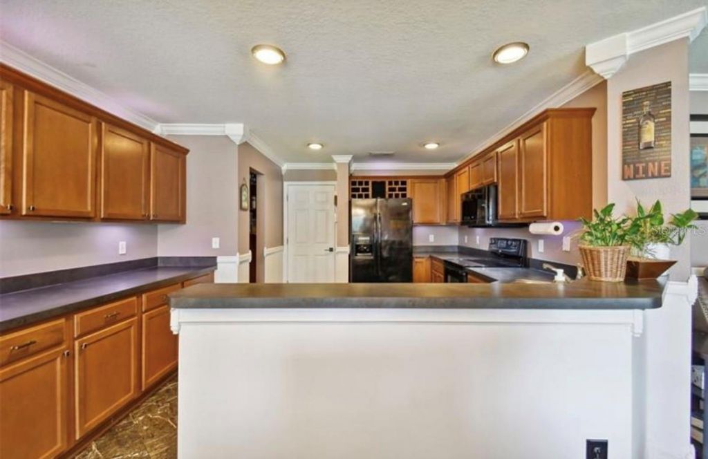 18907 Randall Place, Land O Lakes, FL 34638 Photo