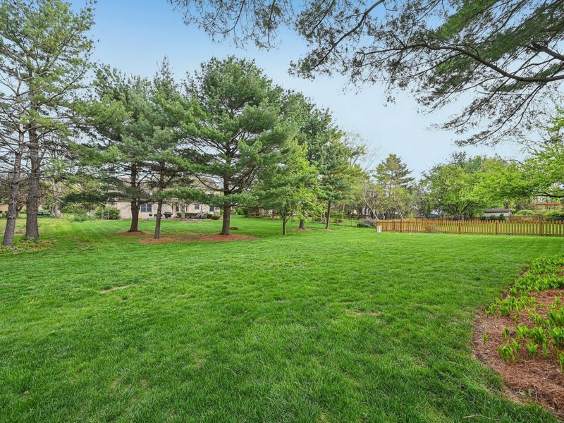 12324 Raintree Avenue, Pickerington, OH 43147 Photo 47