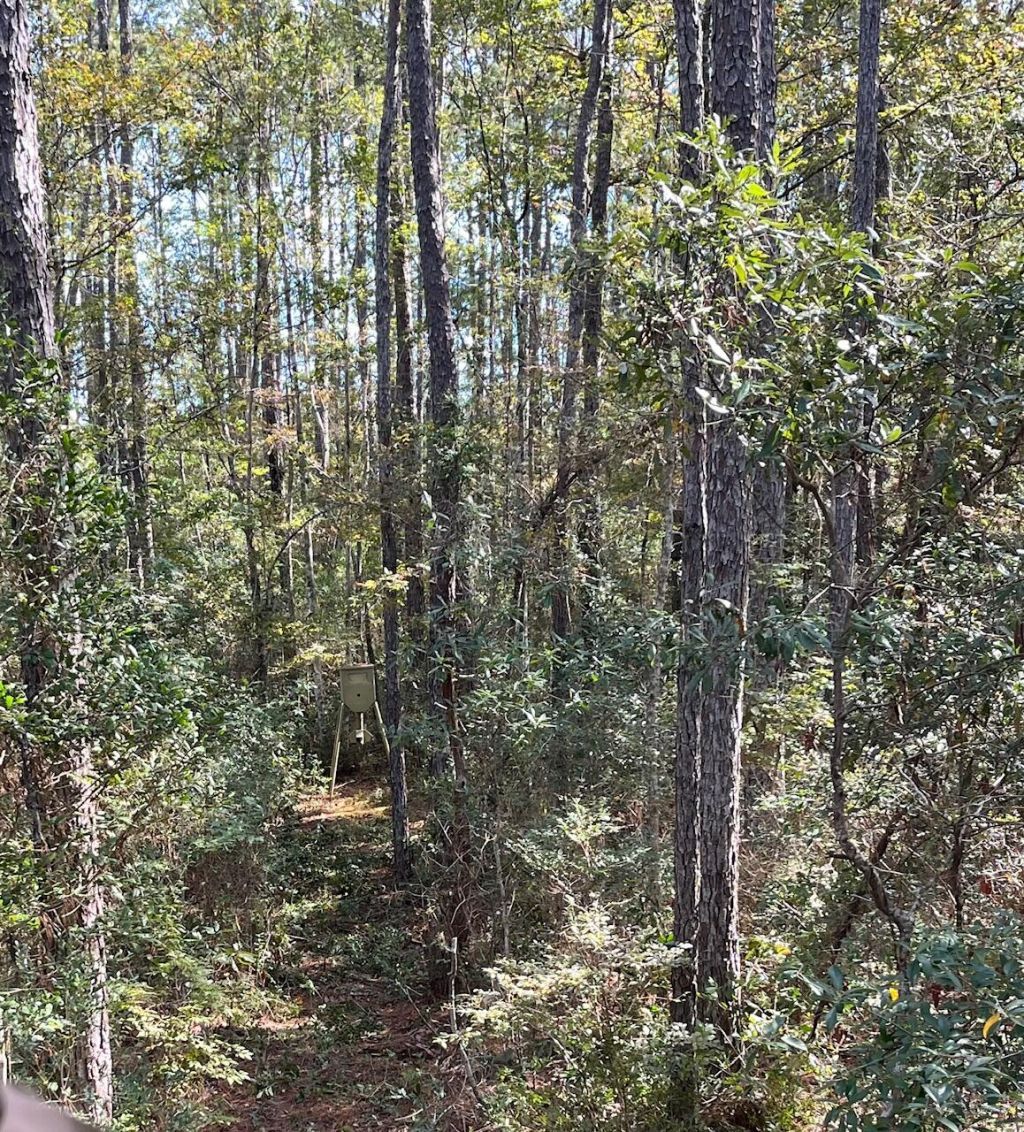 9168 Old Georgetown Road Photo 43