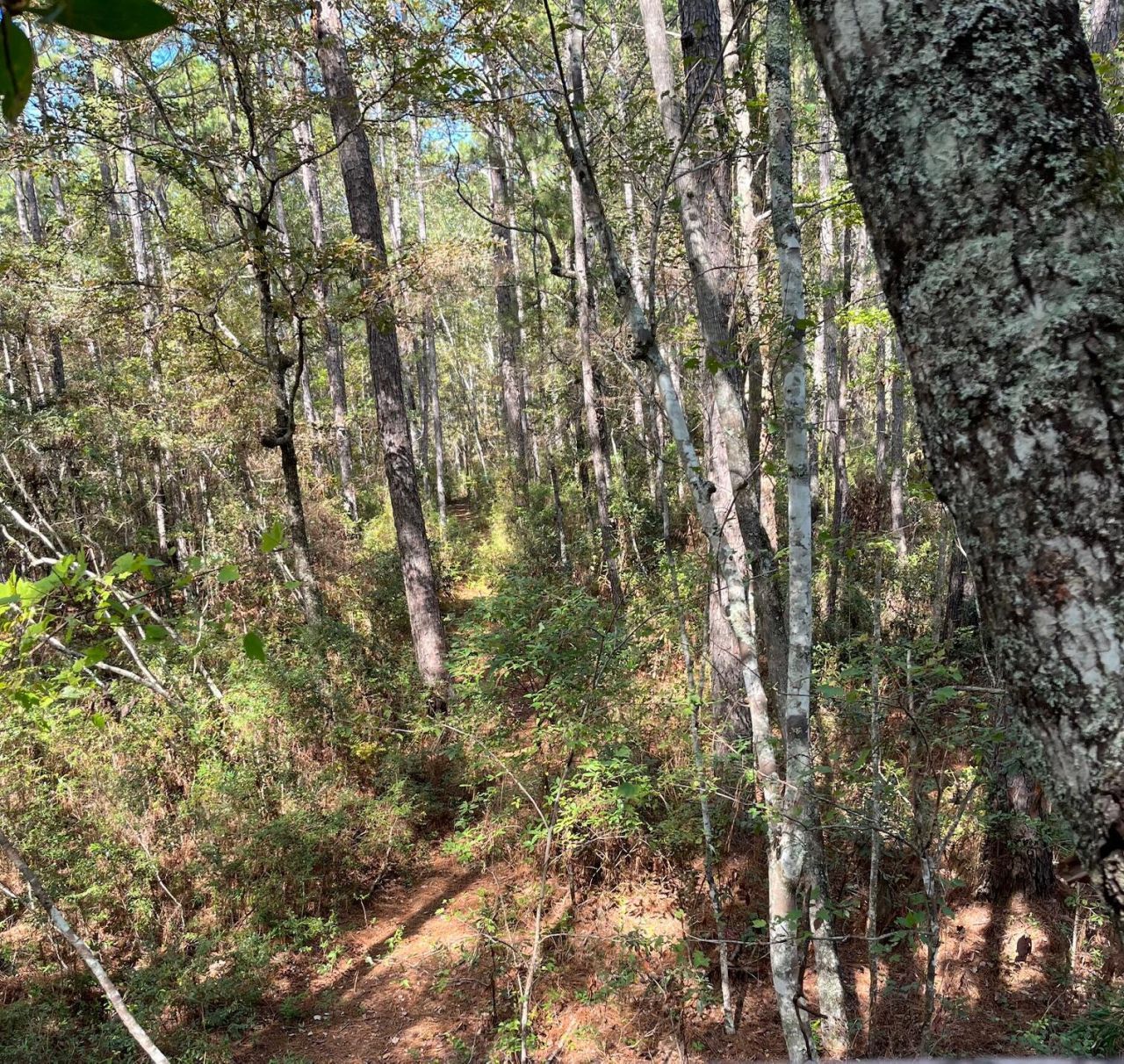 9168 Old Georgetown Road Photo 44