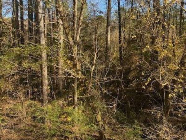 0 N Hwy 411, Chatsworth, GA 30705