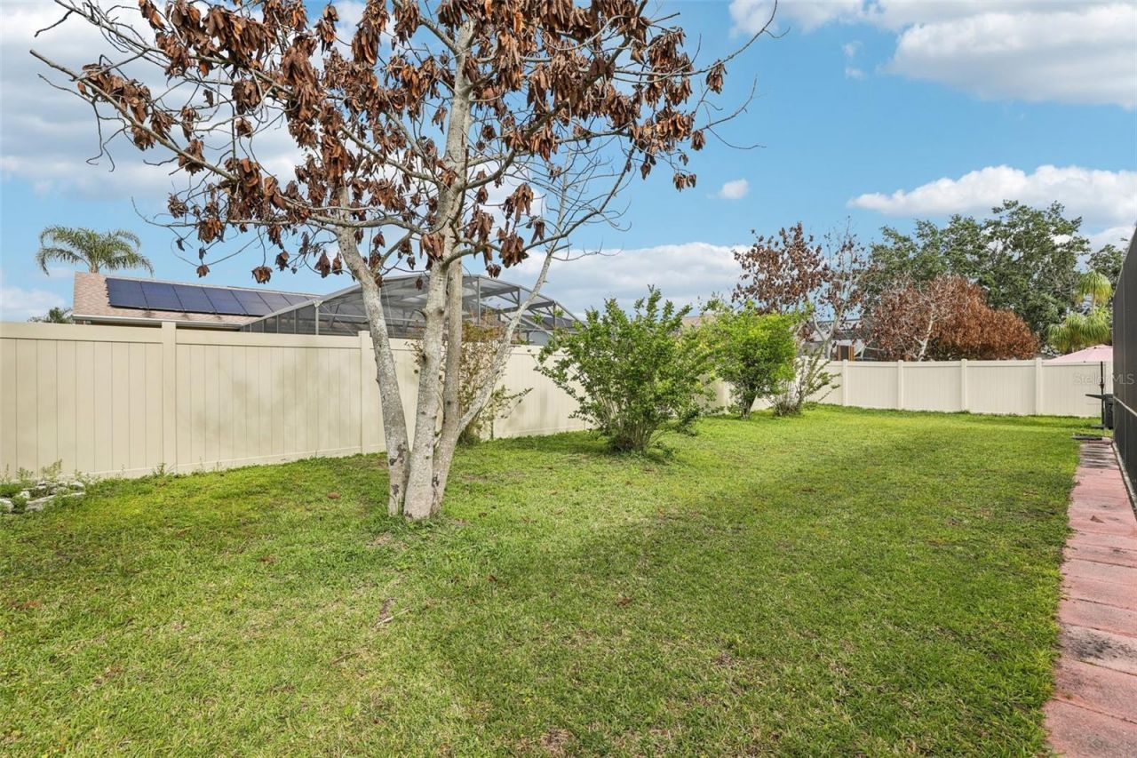 3521 Molona Drive, Orlando, FL 32837 Photo