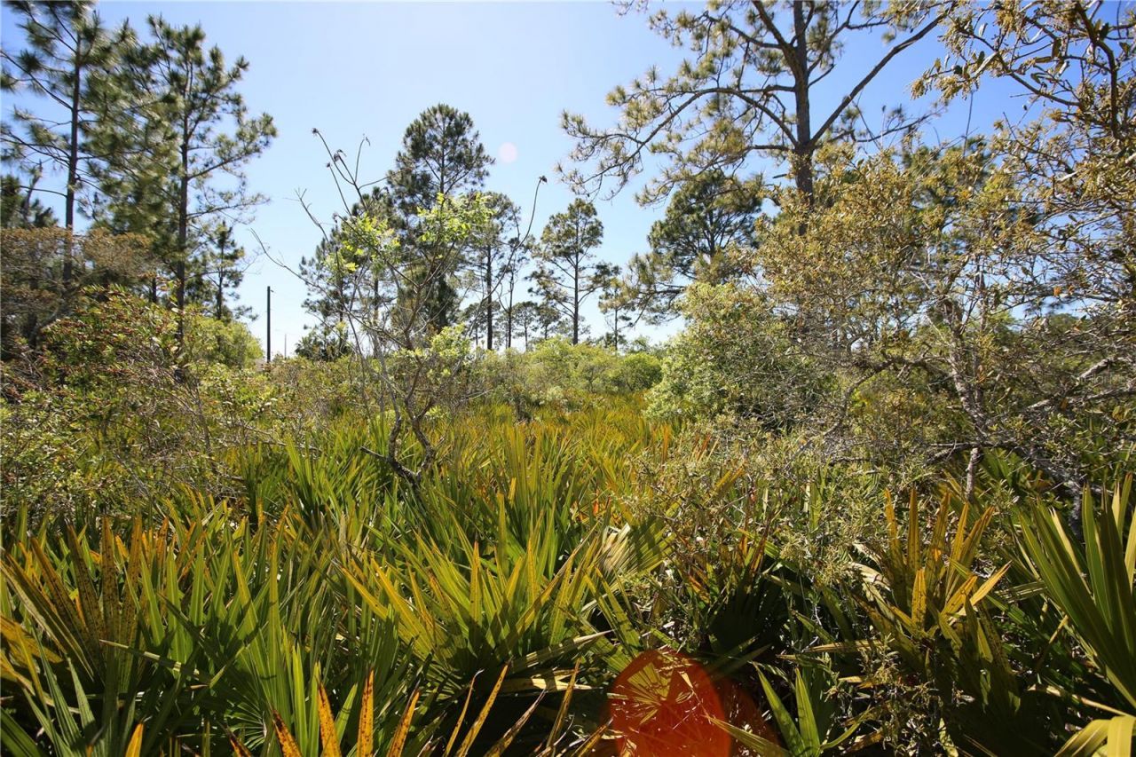 5 Seriema Court, Palm Coast, FL 32164 Photo