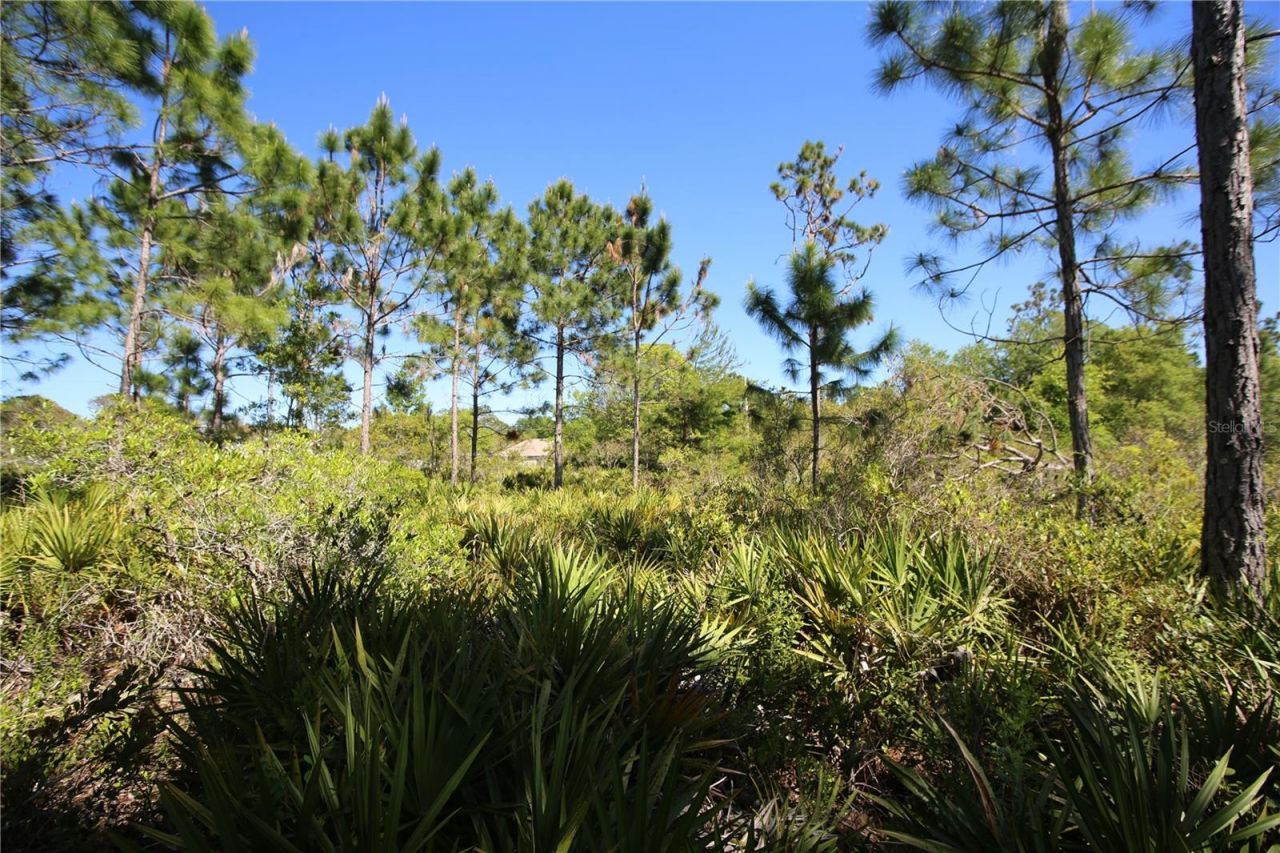 5 Seriema Court, Palm Coast, FL 32164 Photo