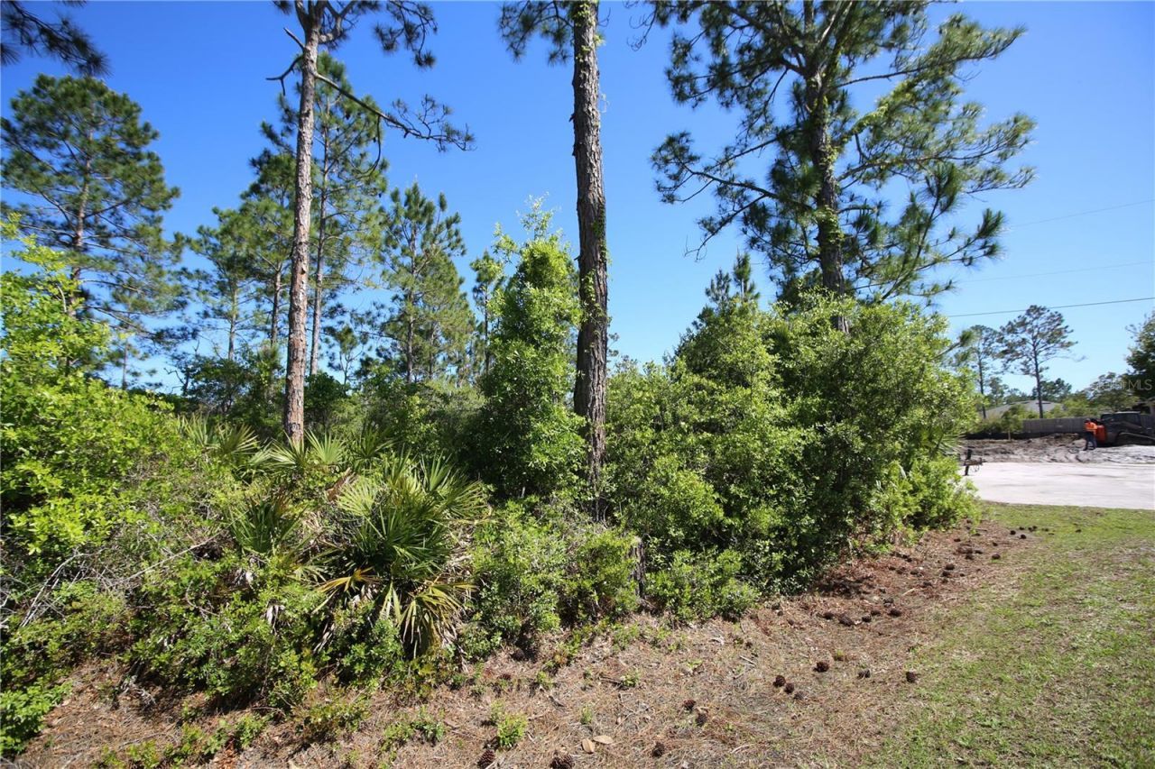 5 Seriema Court, Palm Coast, FL 32164 Photo