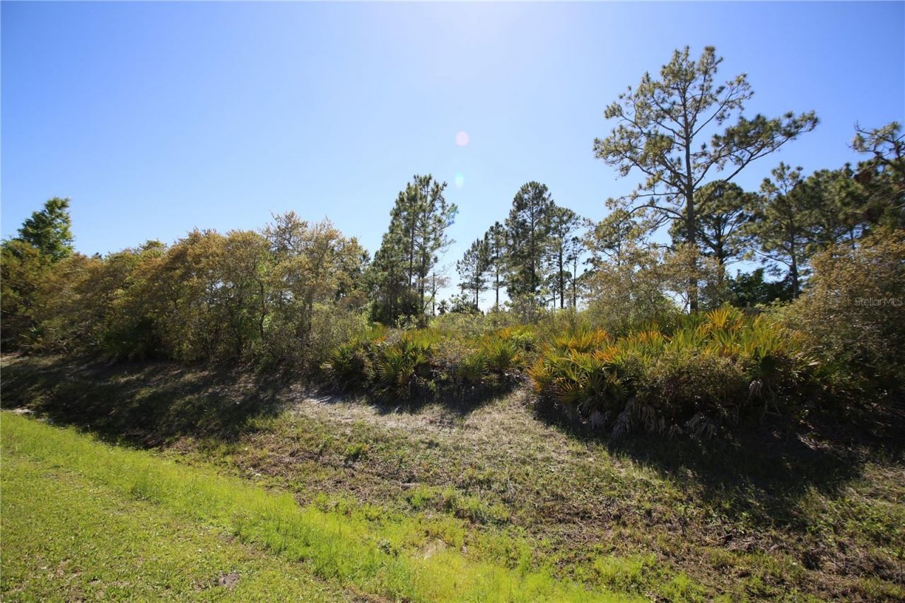 5 Seriema Court, Palm Coast, FL 32164 Photo