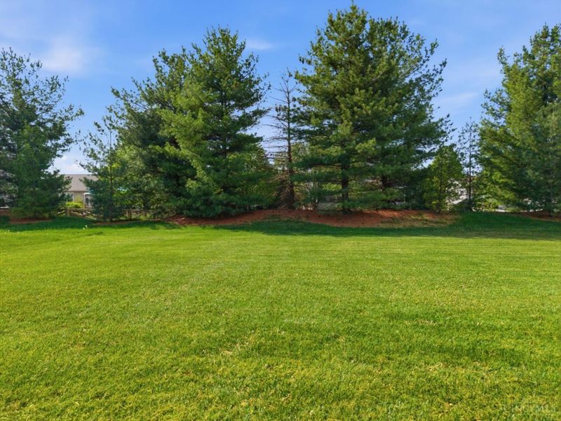 1207 Durbin Terrace, Maineville, OH 45039 Photo 10