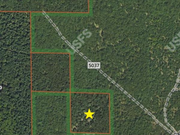 V/L E Koenig Road, Free Soil, MI 49411