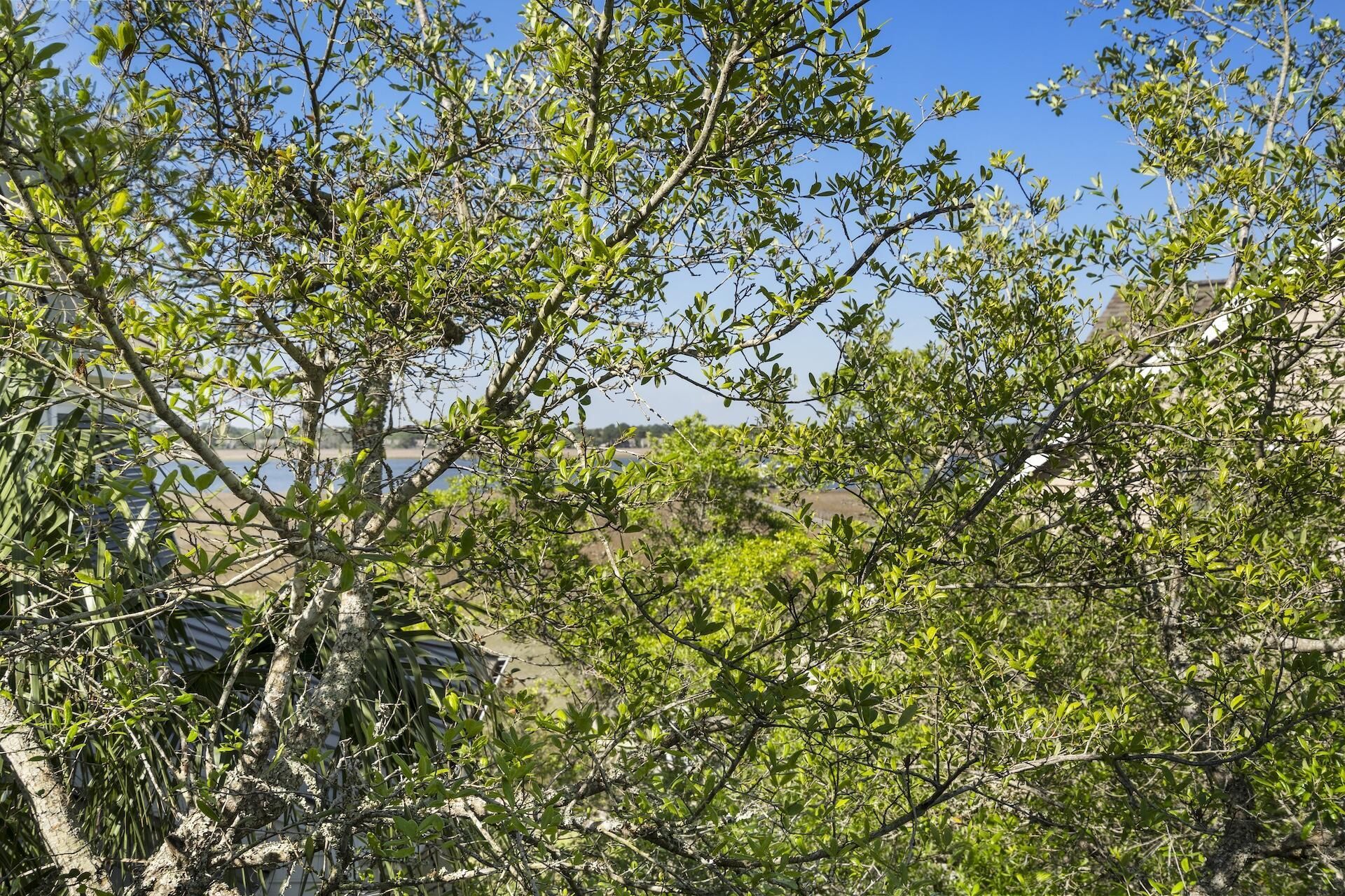 1491 Palmcrest Drive Photo 44