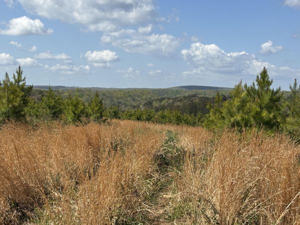 07 Fredonia Road, Dunlap, TN 37327