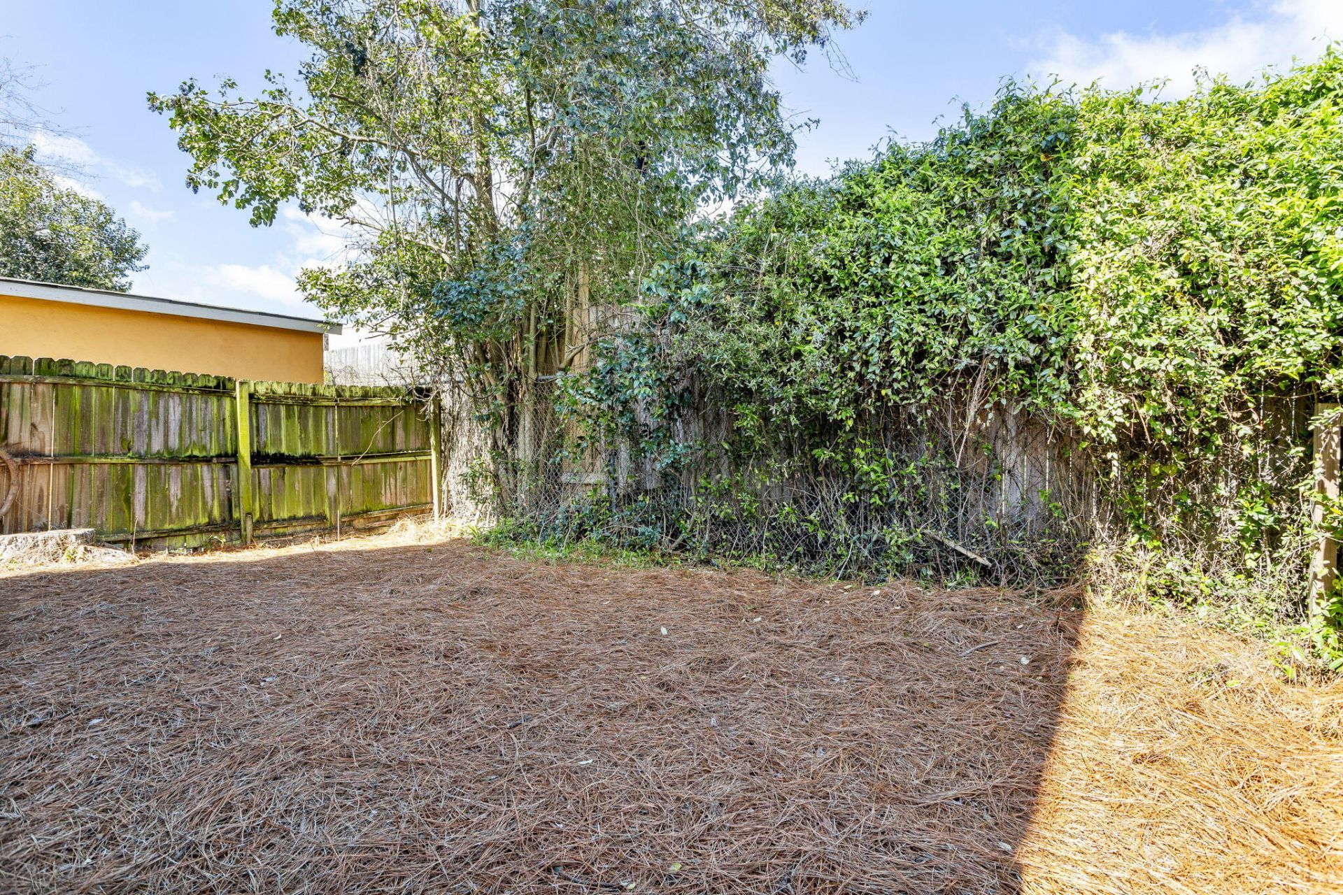 2028 Arbutus Avenue Photo 17