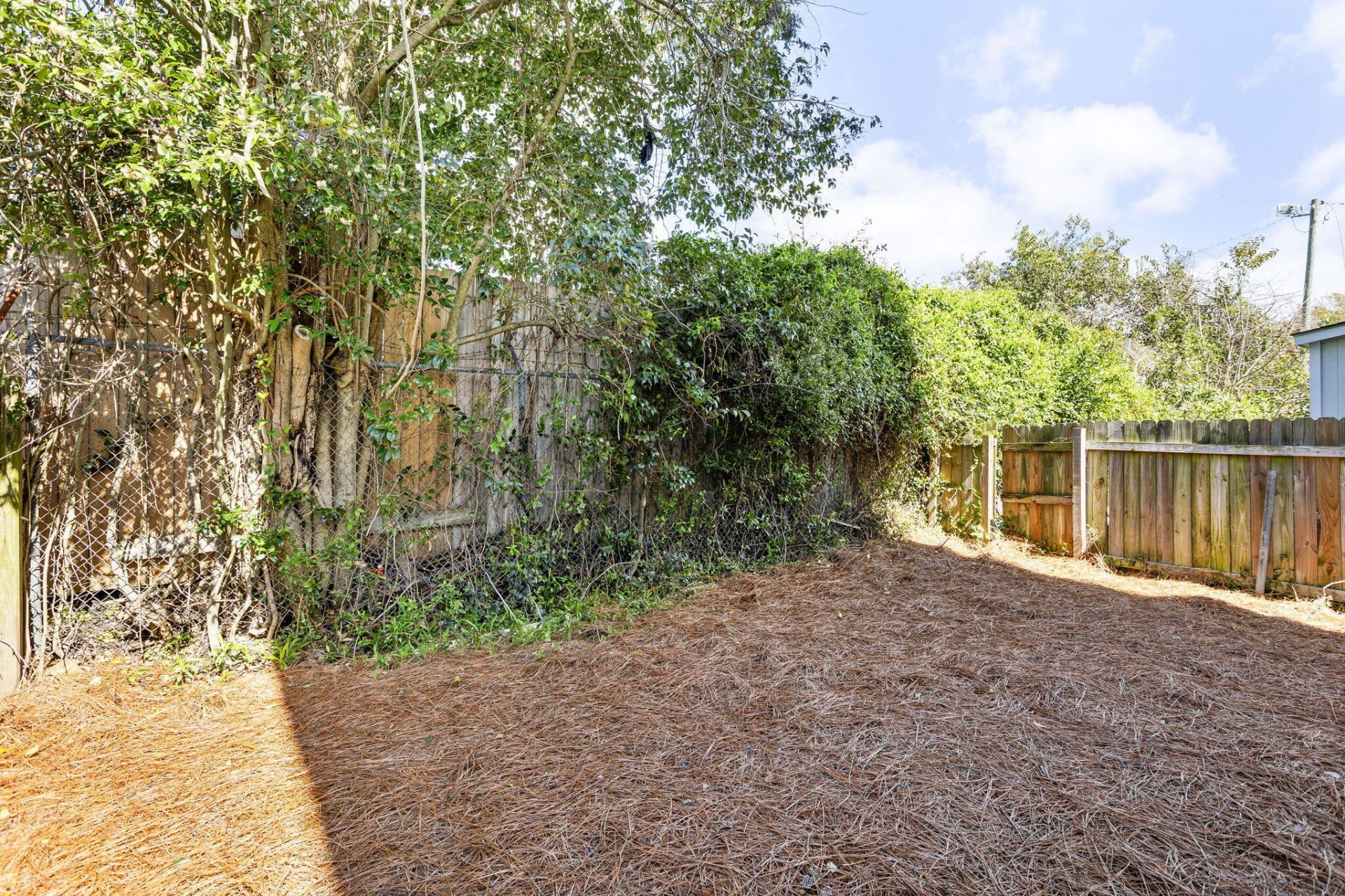 2028 Arbutus Avenue Photo 18