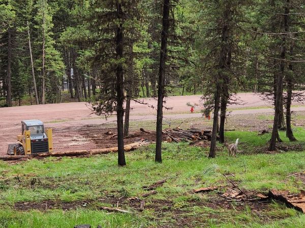 349 Seclusion Point , Seeley Lake, MT 59868