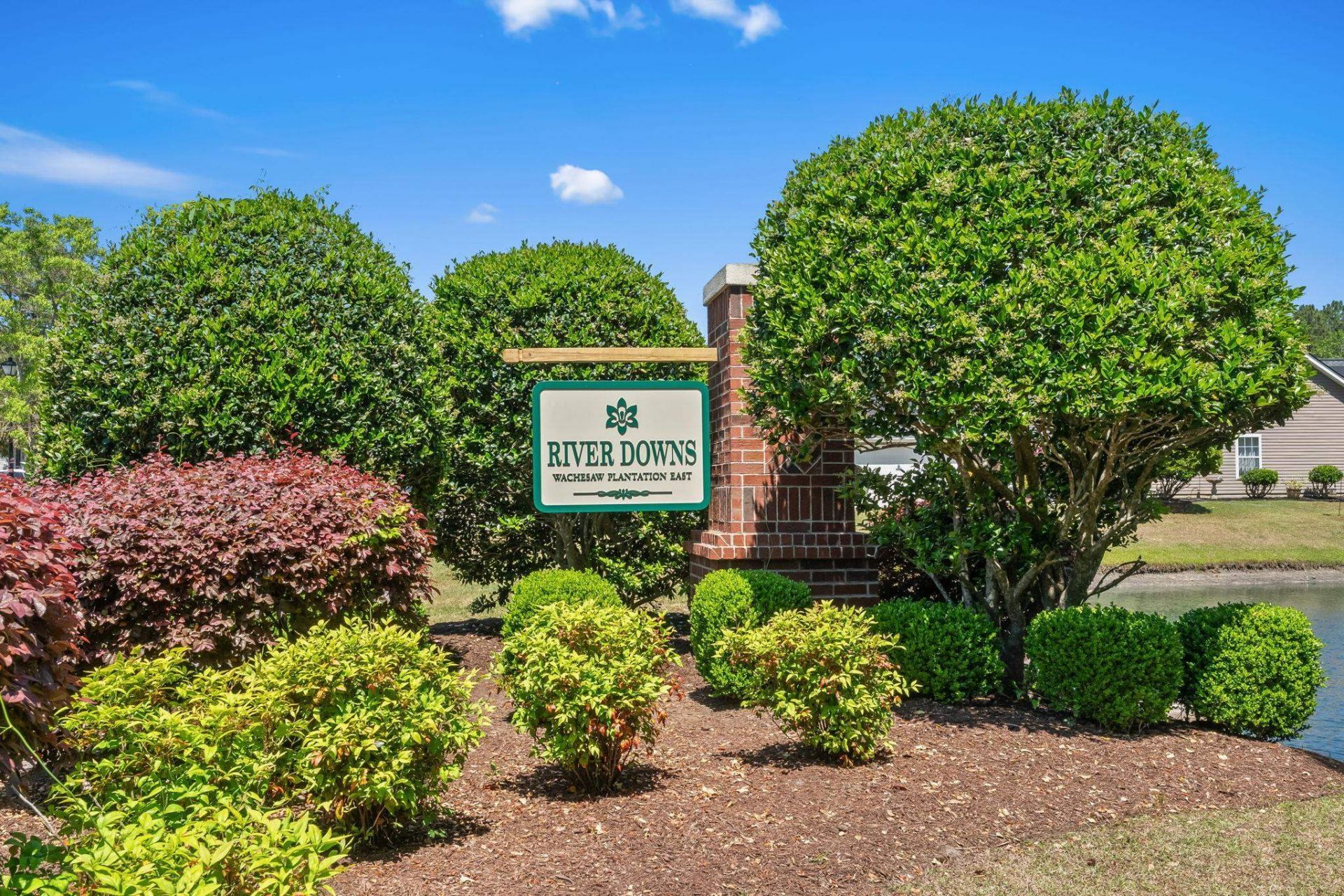 17 Passion Flower Ct.  Photo 49