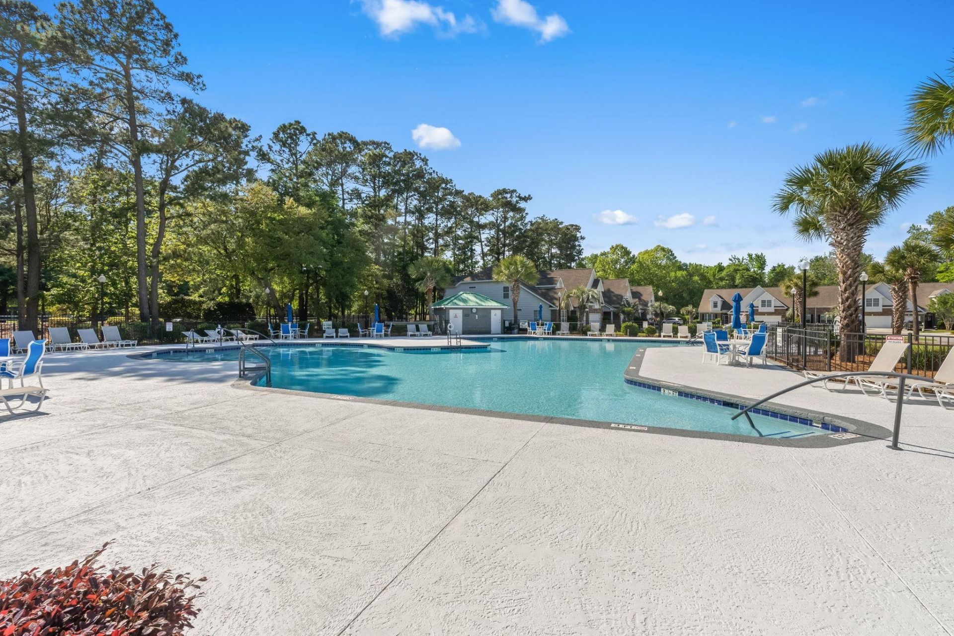 17 Passion Flower Ct.  Photo 50