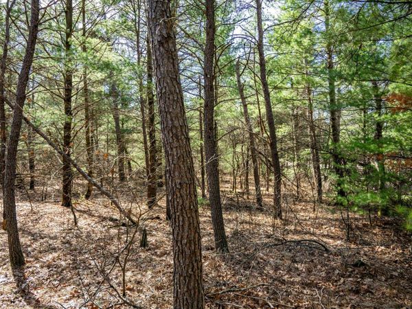 Lot 2 19th Avenue, Necedah, WI 54646